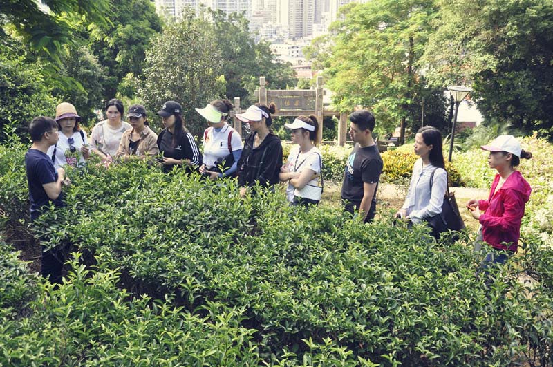 自强厚德 承茶载道 中国茶道培训首荐